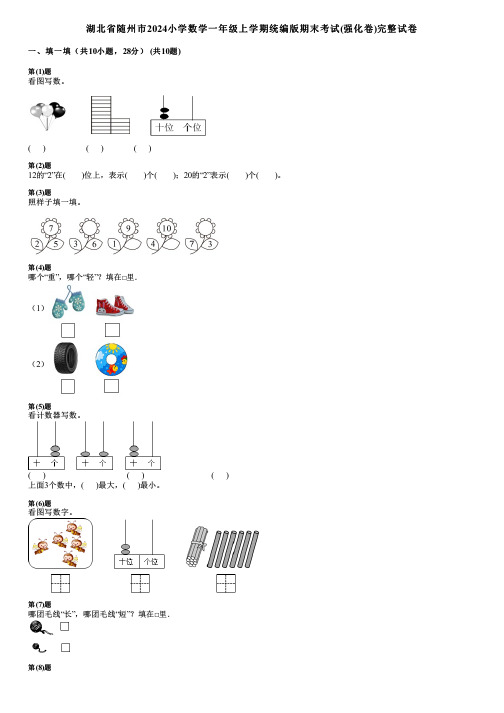 湖北省随州市2024小学数学一年级上学期统编版期末考试(强化卷)完整试卷