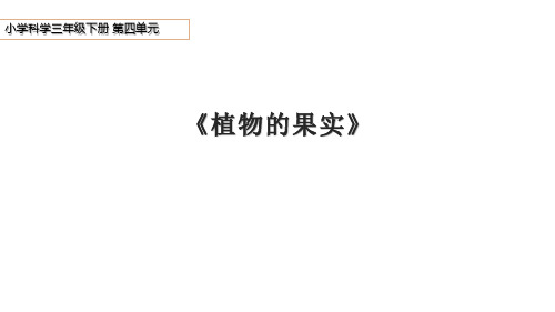 青岛版科学三年级下册第四单元第12课《植物的果实》课件