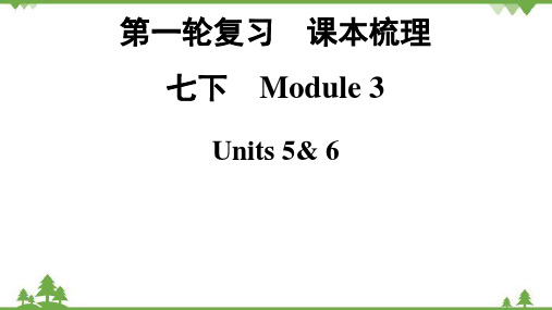 中考英语一轮复习 7下Module 3课件(共30张PPT)