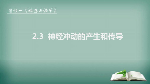 2.3神经冲动的产生和传导