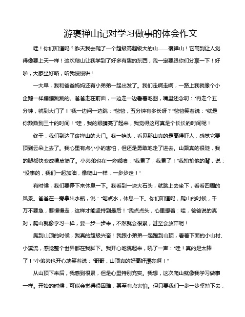 游褒禅山记对学习做事的体会作文