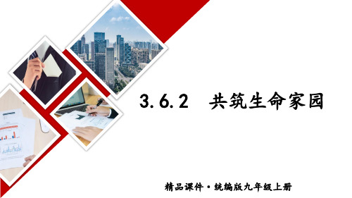 初中九年级上册政治精品授课课件 第三单元 文明与家园 3.6.2 共筑生命家园