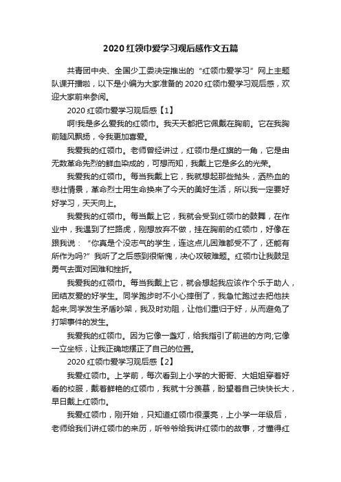 2020红领巾爱学习观后感作文五篇