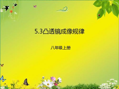 人教版八年级上册物理 5.3凸透镜成像规律(共29张PPT)