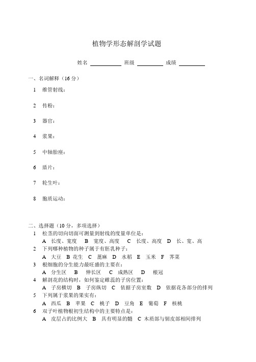 植物学形态解剖学试题