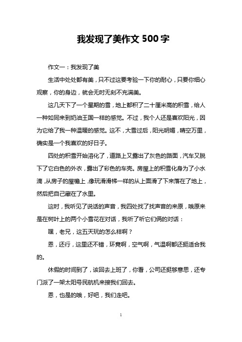 我发现了美作文500字