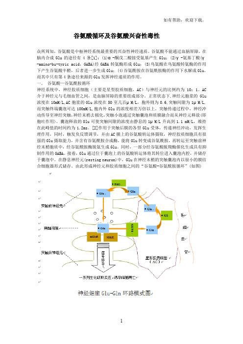 谷氨酸循环及谷氨酸兴奋性毒性