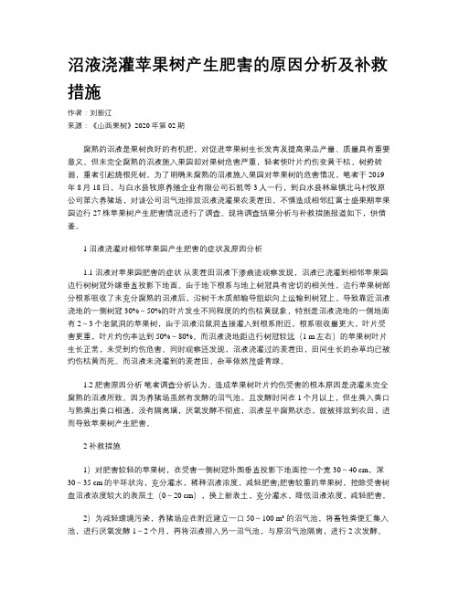 沼液浇灌苹果树产生肥害的原因分析及补救措施