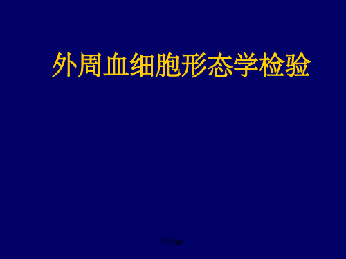 01血涂片、红细胞形态