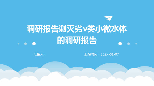 调研报告剿灭劣v类小微水体的调研报告