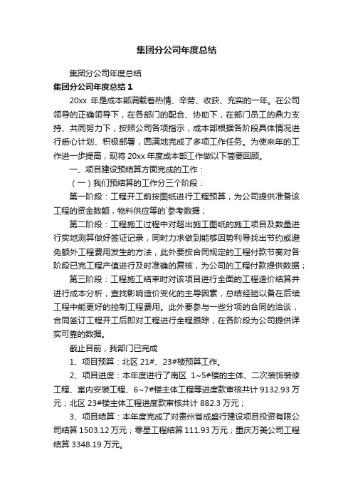 集团分公司年度总结