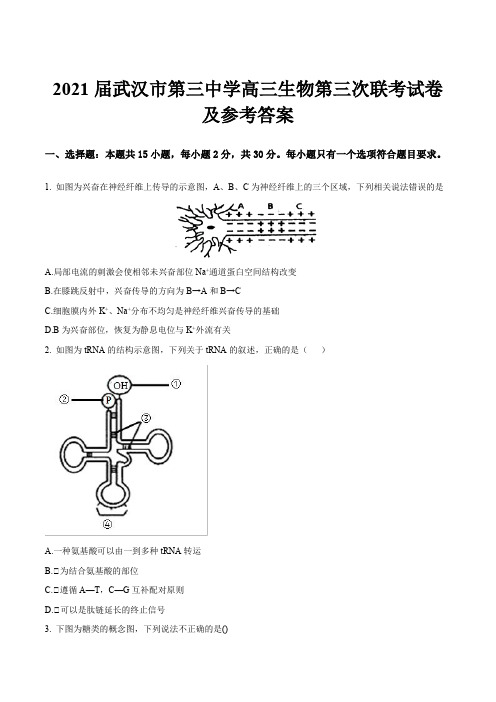 2021届武汉市第三中学高三生物第三次联考试卷及参考答案