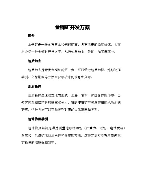 金铜矿开发方案