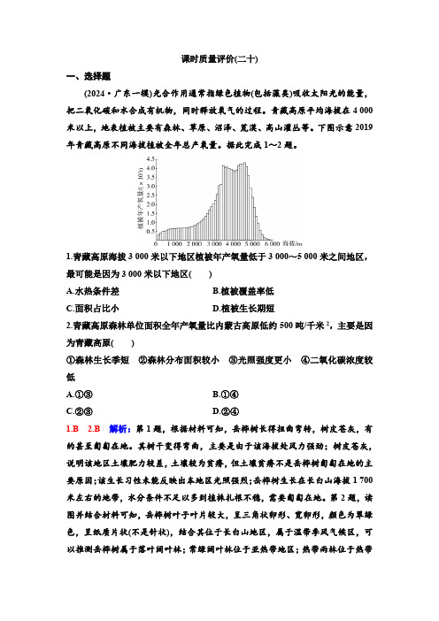 2025年高考地理一轮复习20课时质量评价(二十)