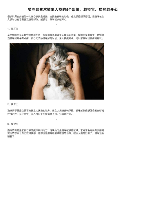 猫咪最喜欢被主人摸的5个部位，越摸它，猫咪越开心