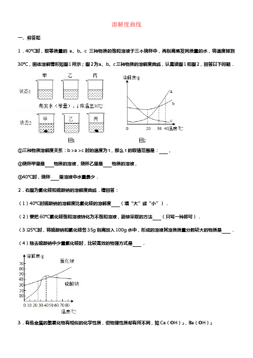 2017年中考化学总温习专题训练溶解度曲线含解析