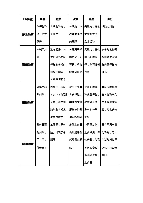 动物各门类总结