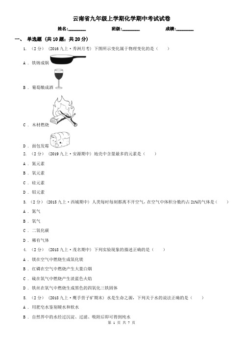 云南省九年级上学期化学期中考试试卷