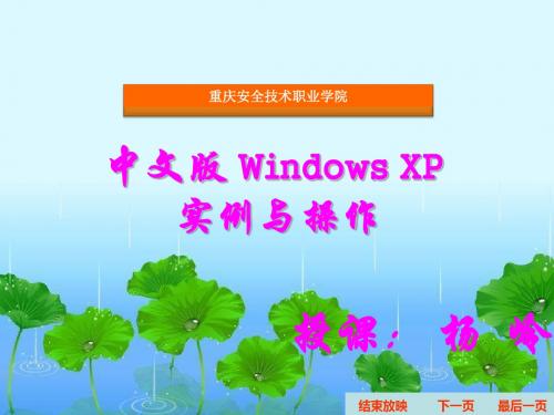 中文版 Windows XP 11