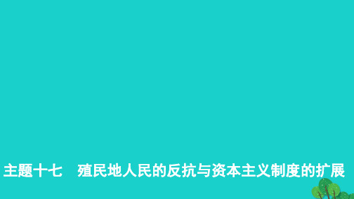 2019版中考历史总复习主题十七殖民地人民的反抗与资本主义制度的扩展课件