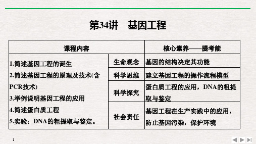 新高考2020生物选考总复习第34讲 基因工程课件