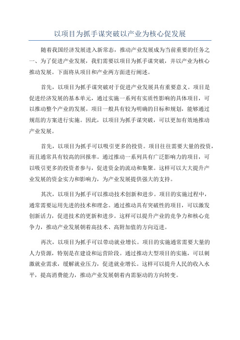 以项目为抓手谋突破以产业为核心促发展