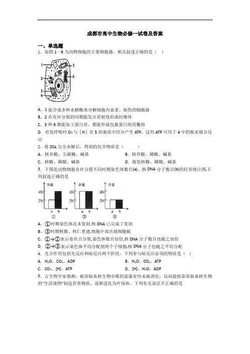 成都市高中生物必修一试卷及答案