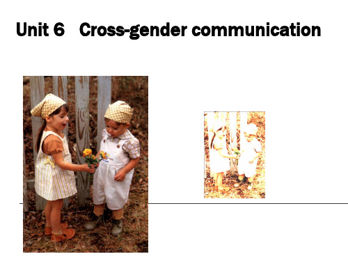 跨文化交际(第十一次课crossgendercommunication)