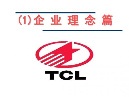 TCL TV农村推广大全