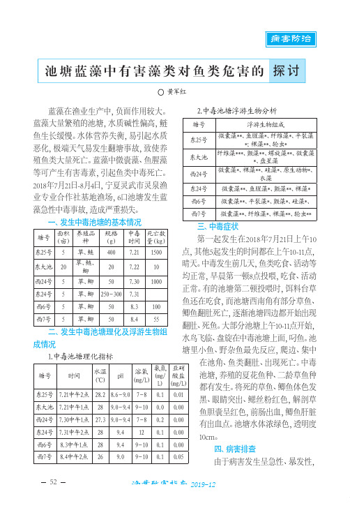 池塘蓝藻中有害藻类对鱼类危害的探讨