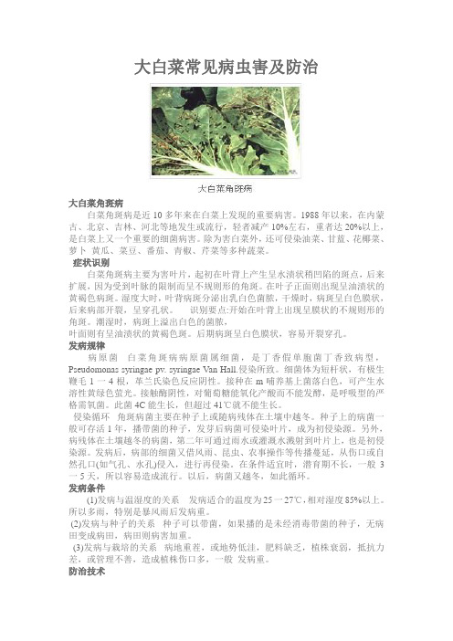 大白菜常见病虫害及防治