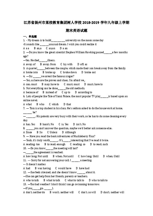 英语_江苏省扬州市某校教育集团树人学校2018-2019学年九年级上学期期末英语试题(含答案)