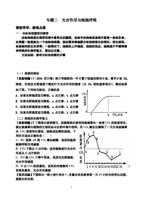 光合作用与细胞呼吸导学案