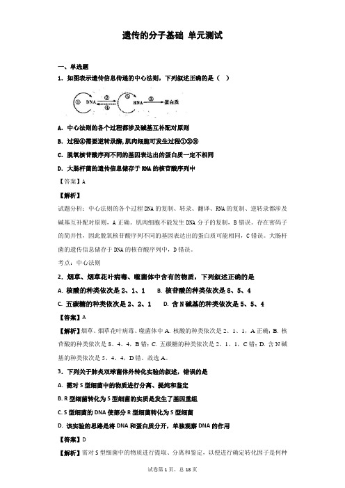 2019届浙科版  遗传的分子基础 单元测试