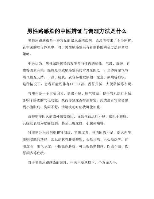 男性路感染的中医辨证与调理方法是什么