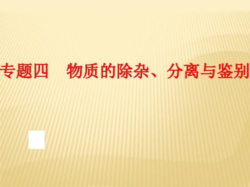 中考化学(鲁教版)二轮复习(专题突破强化训练)：专题四 物质的除杂、分离与鉴别