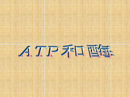 高中生物ATP和酶课件