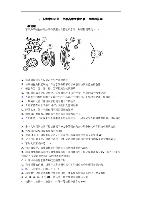 广东省中山市第一中学高中生物必修一试卷和答案