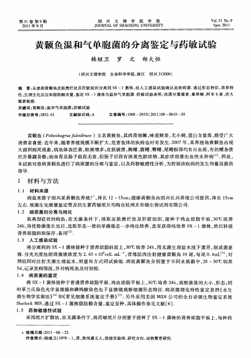 黄颡鱼温和气单胞菌的分离鉴定与药敏试验