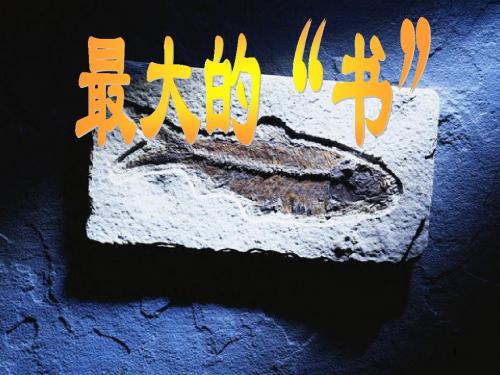 课标版二年级下册《最大的“书”》课件
