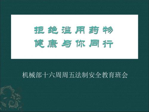 禁毒班会：拒绝滥用药物宣传(课件PPT).