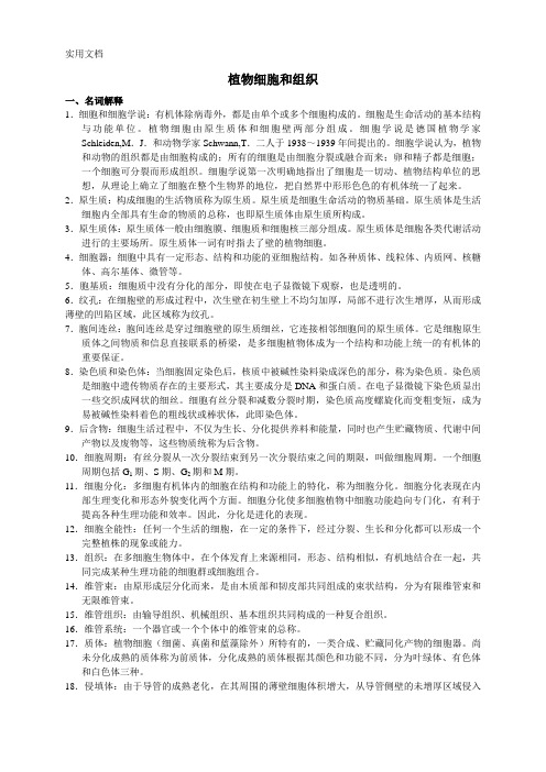 植物学复习试题及答案