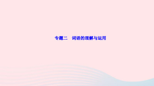 八年级语文上册期末专题复习二词语的理解与运用作业课件新人教版