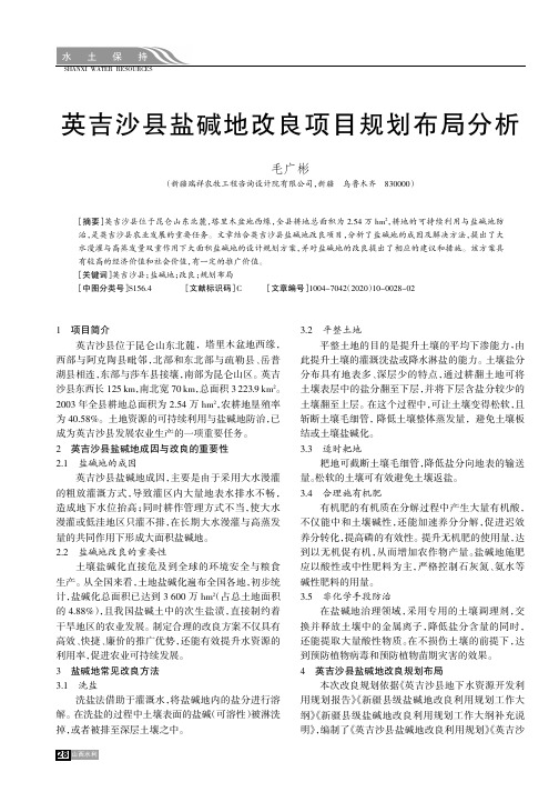 英吉沙县盐碱地改良项目规划布局分析