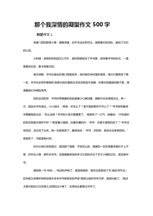 那个我深情的凝望作文500字