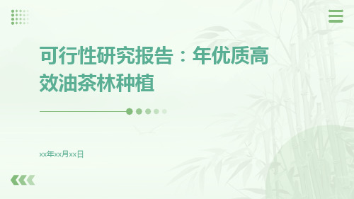 可行性研究报告年优质高效油茶林种植