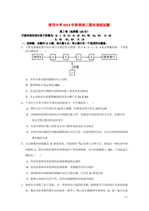 湖北省黄冈中学高三理综期末考试试题