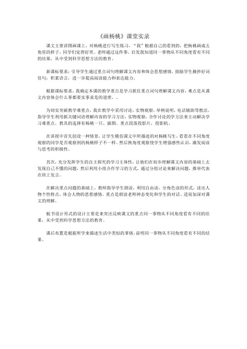 13画杨桃课堂实录