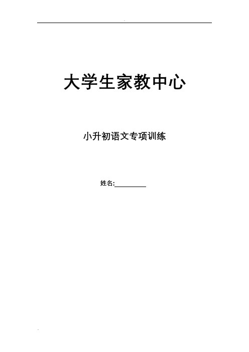 (完整)小升初语文专项训练完整版