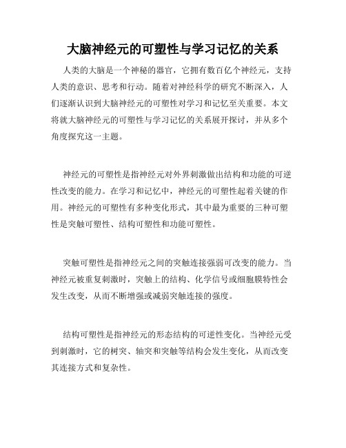 大脑神经元的可塑性与学习记忆的关系